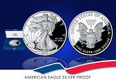 2008-W Proof Silver Eagle